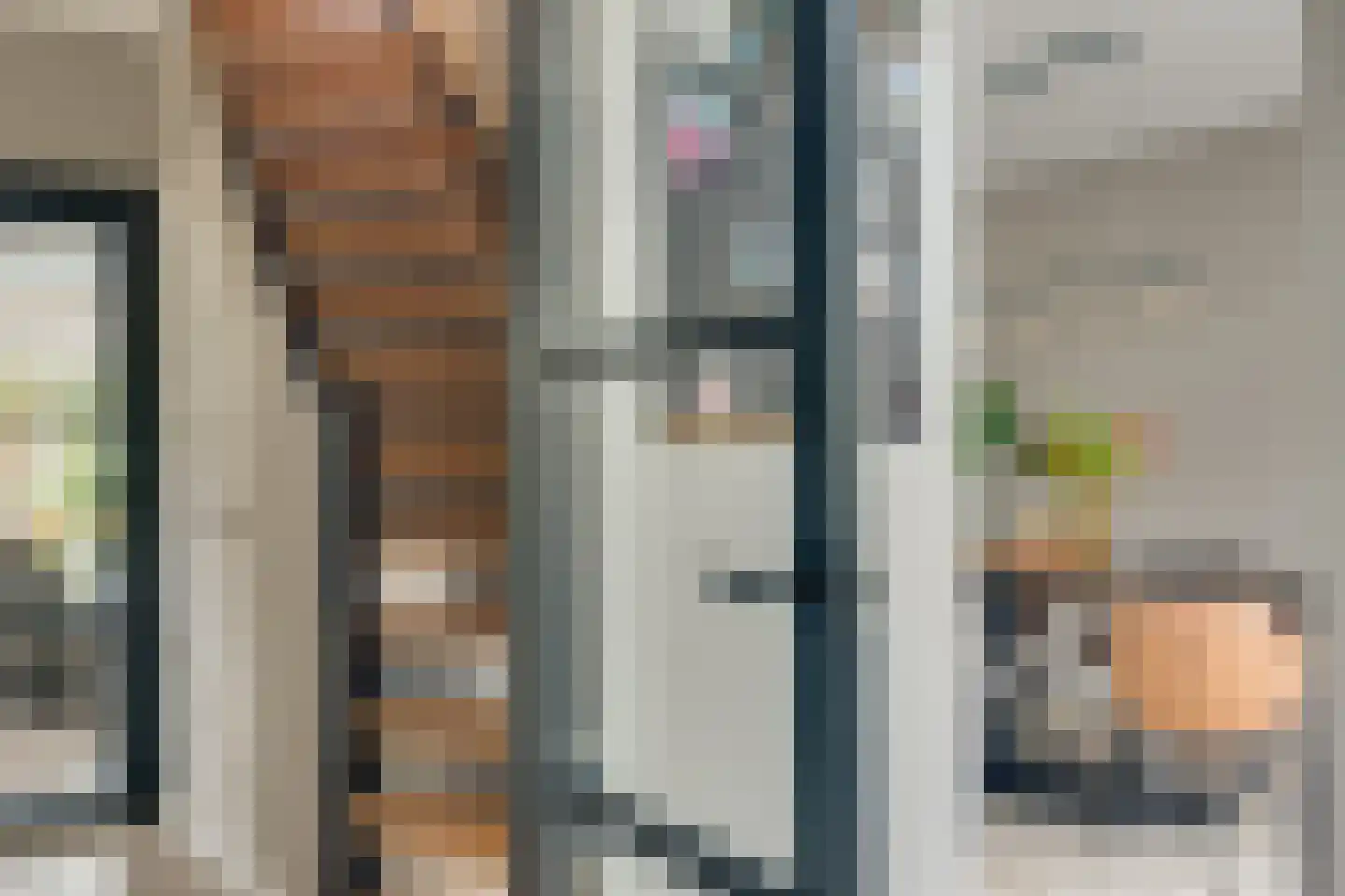 Carry van Bruggenstraat 6 Zwolle thumbnail 21