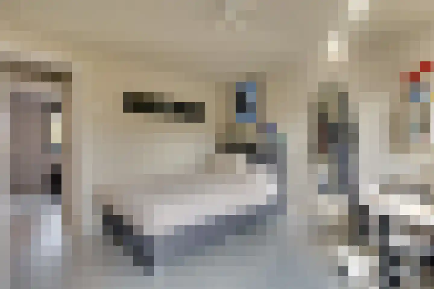 Carry van Bruggenstraat 6 Zwolle thumbnail 24