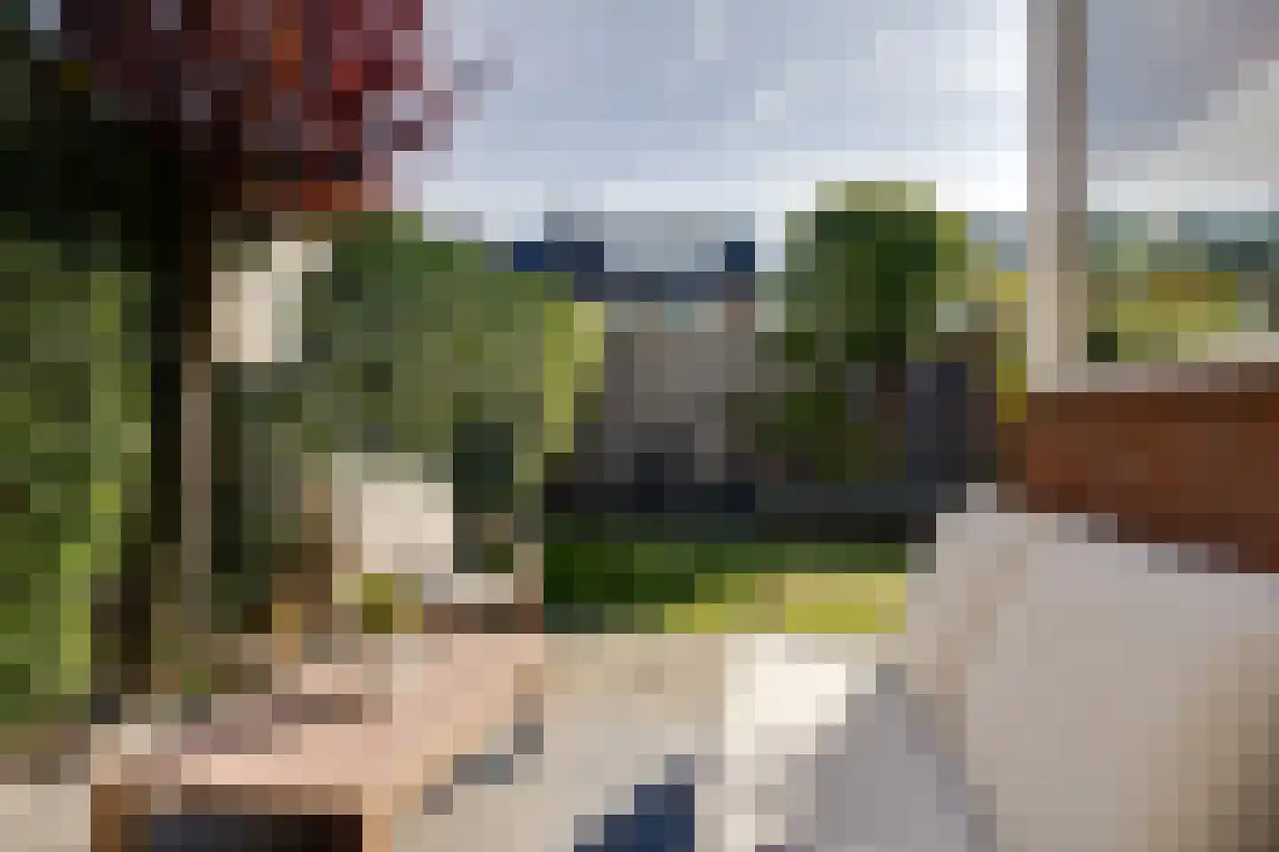 Carry van Bruggenstraat 6 Zwolle thumbnail 38