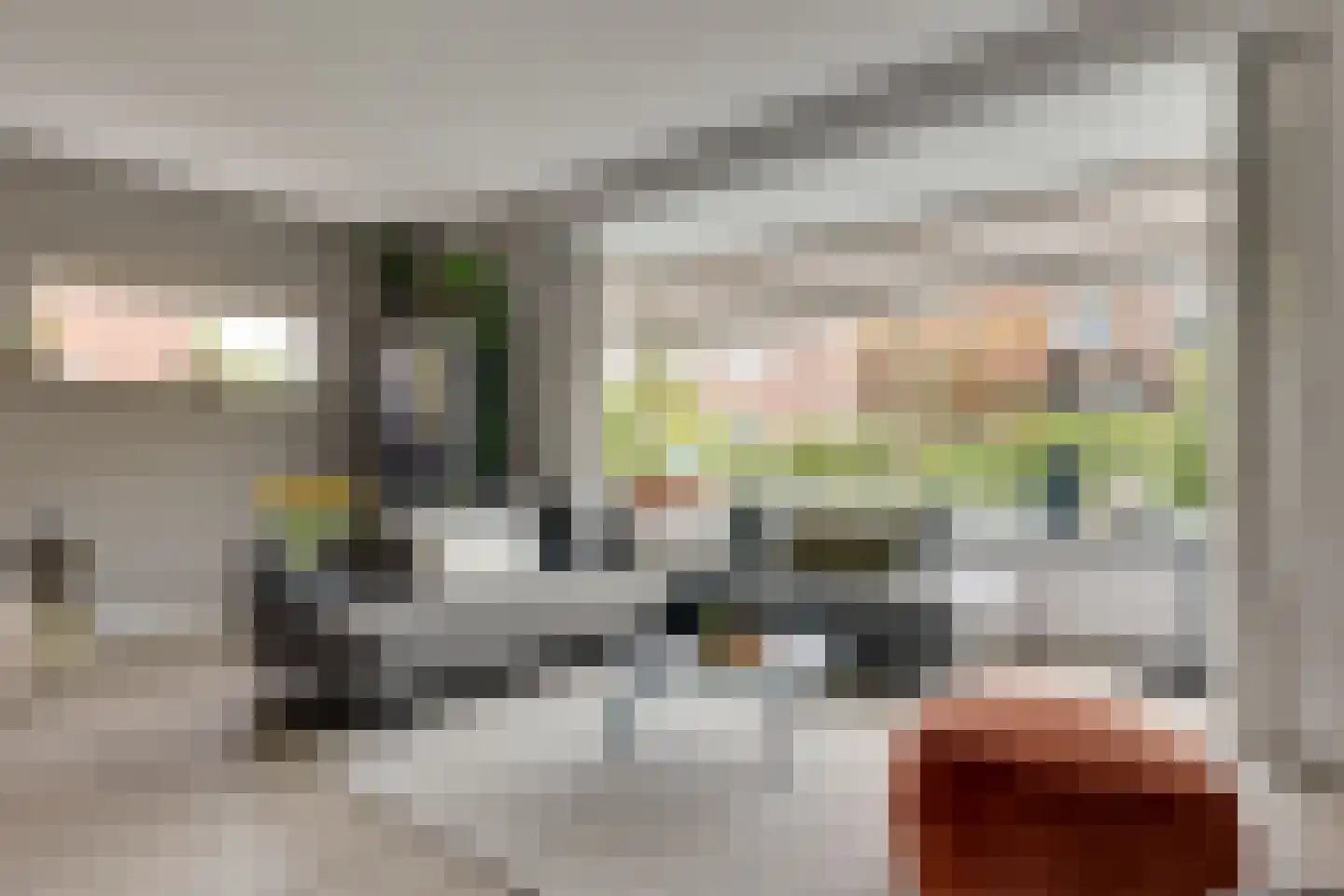 Carry van Bruggenstraat 6 Zwolle thumbnail 4