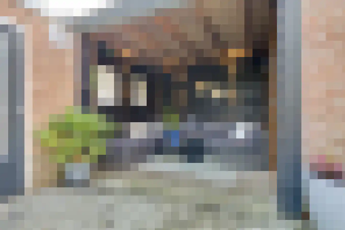 Carry van Bruggenstraat 6 Zwolle thumbnail 45