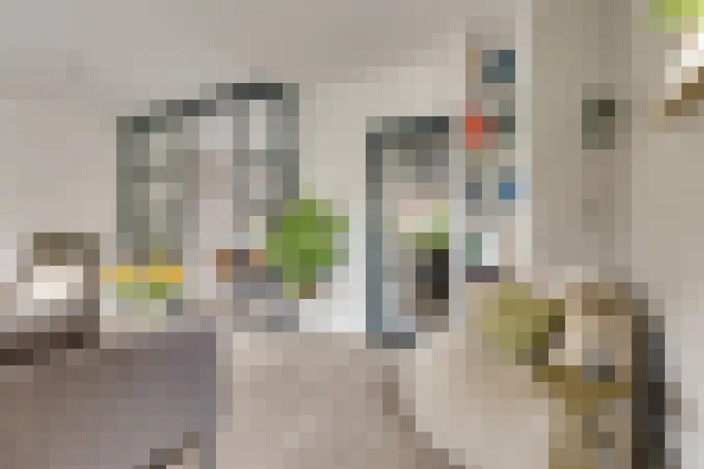 Carry van Bruggenstraat 6 Zwolle thumbnail 5