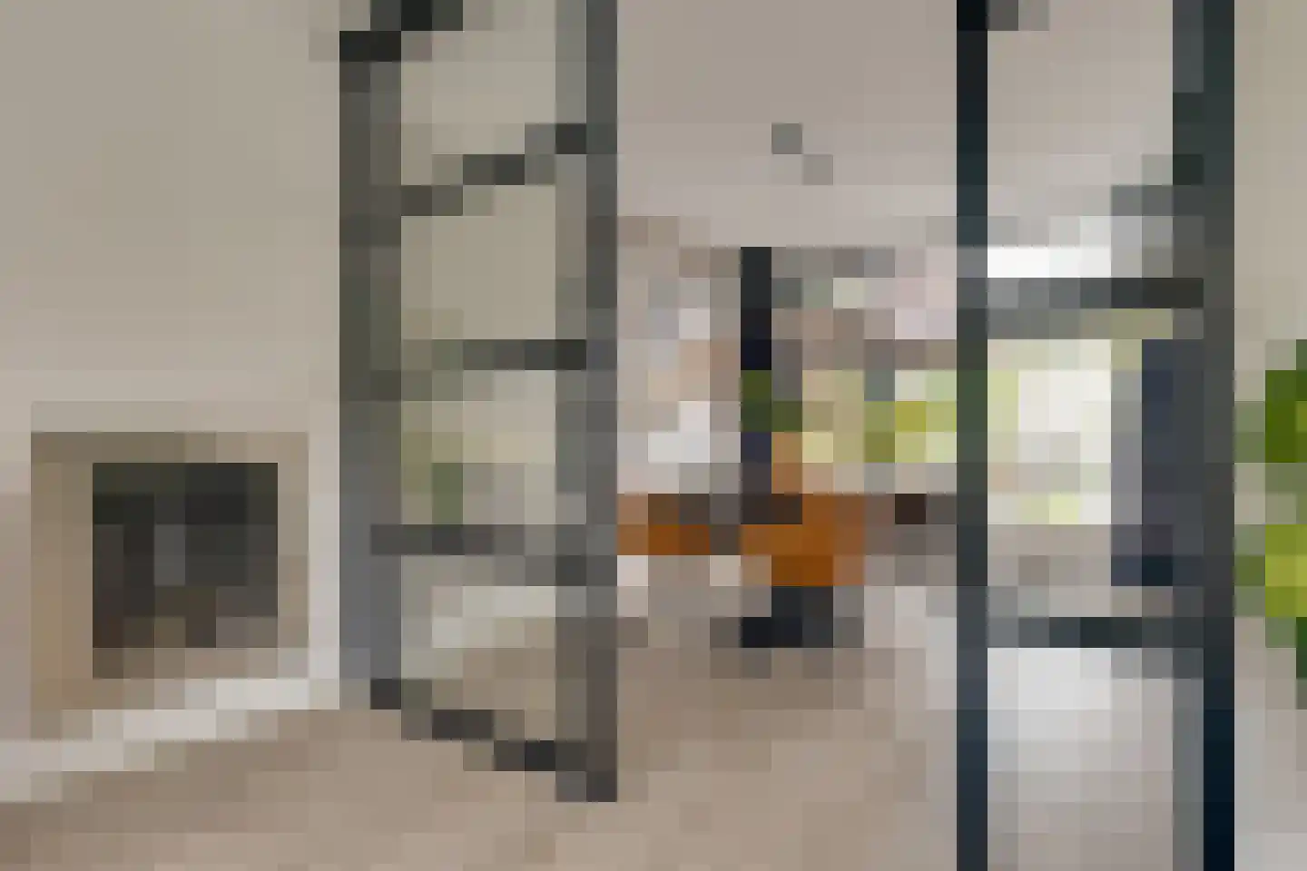 Carry van Bruggenstraat 6 Zwolle thumbnail 6