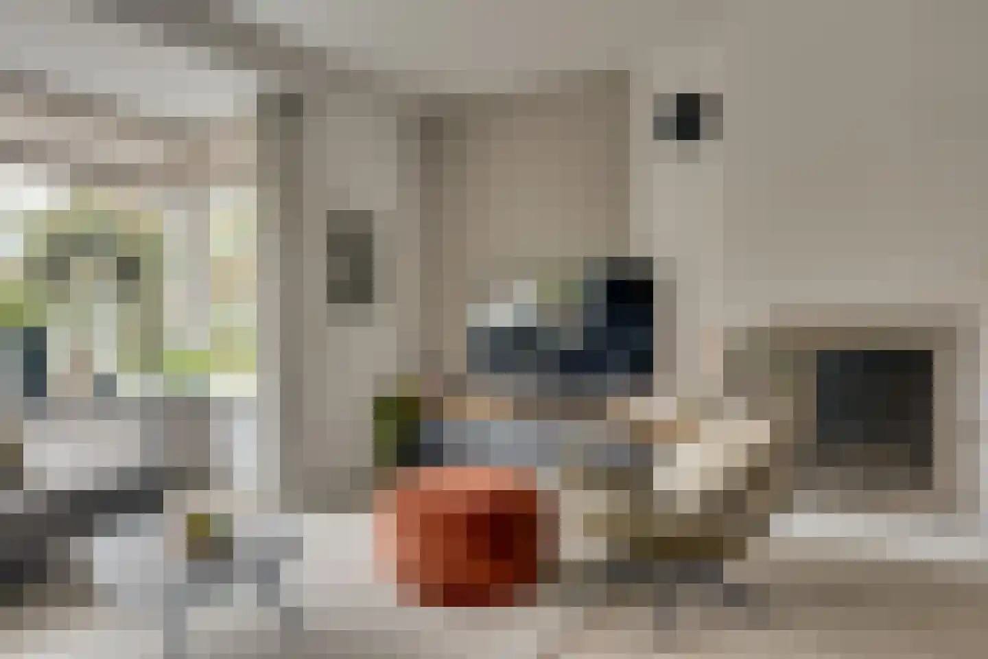 Carry van Bruggenstraat 6 Zwolle thumbnail 8