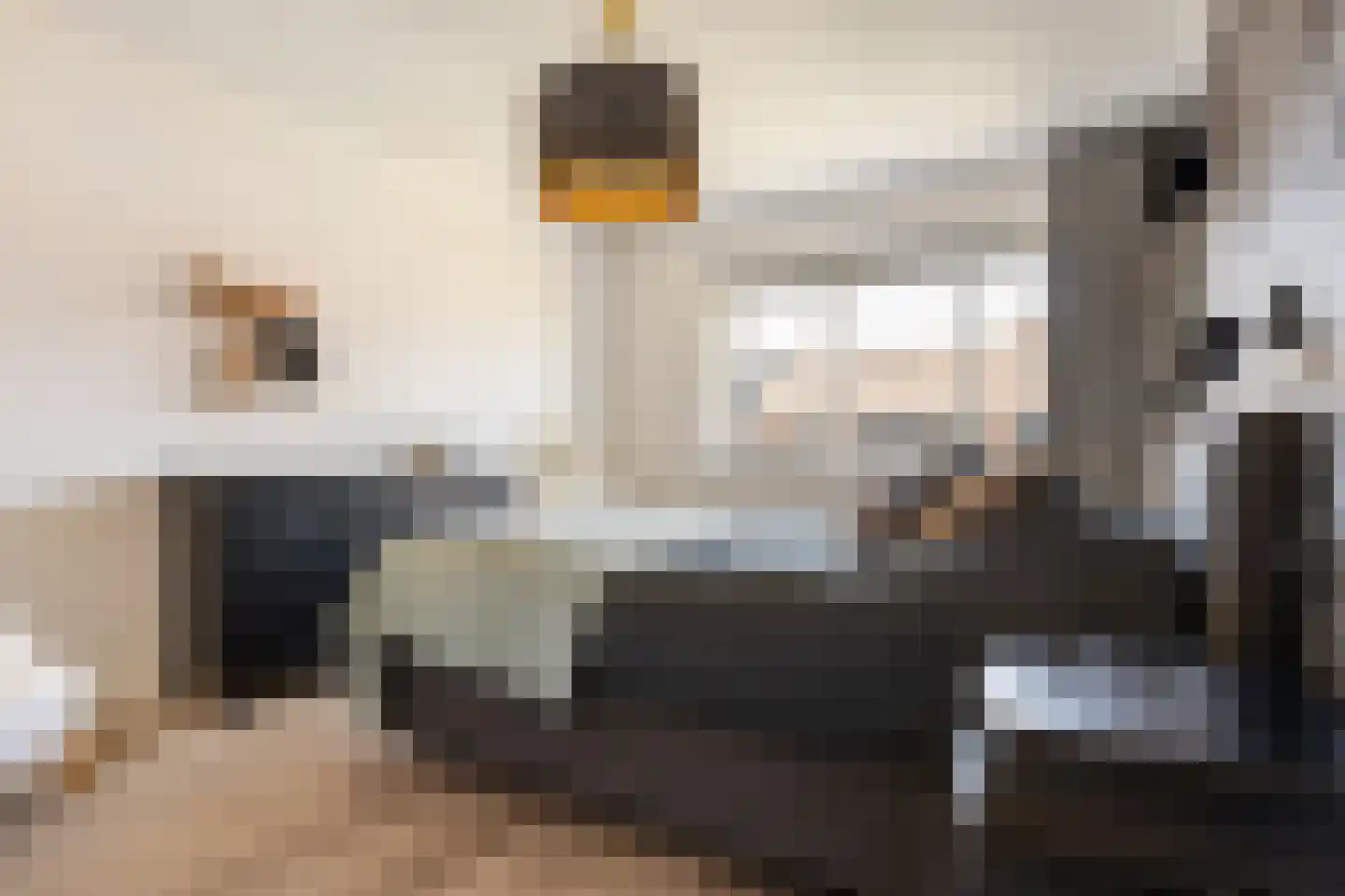 Carry van Bruggenweg 19 Assen thumbnail 33