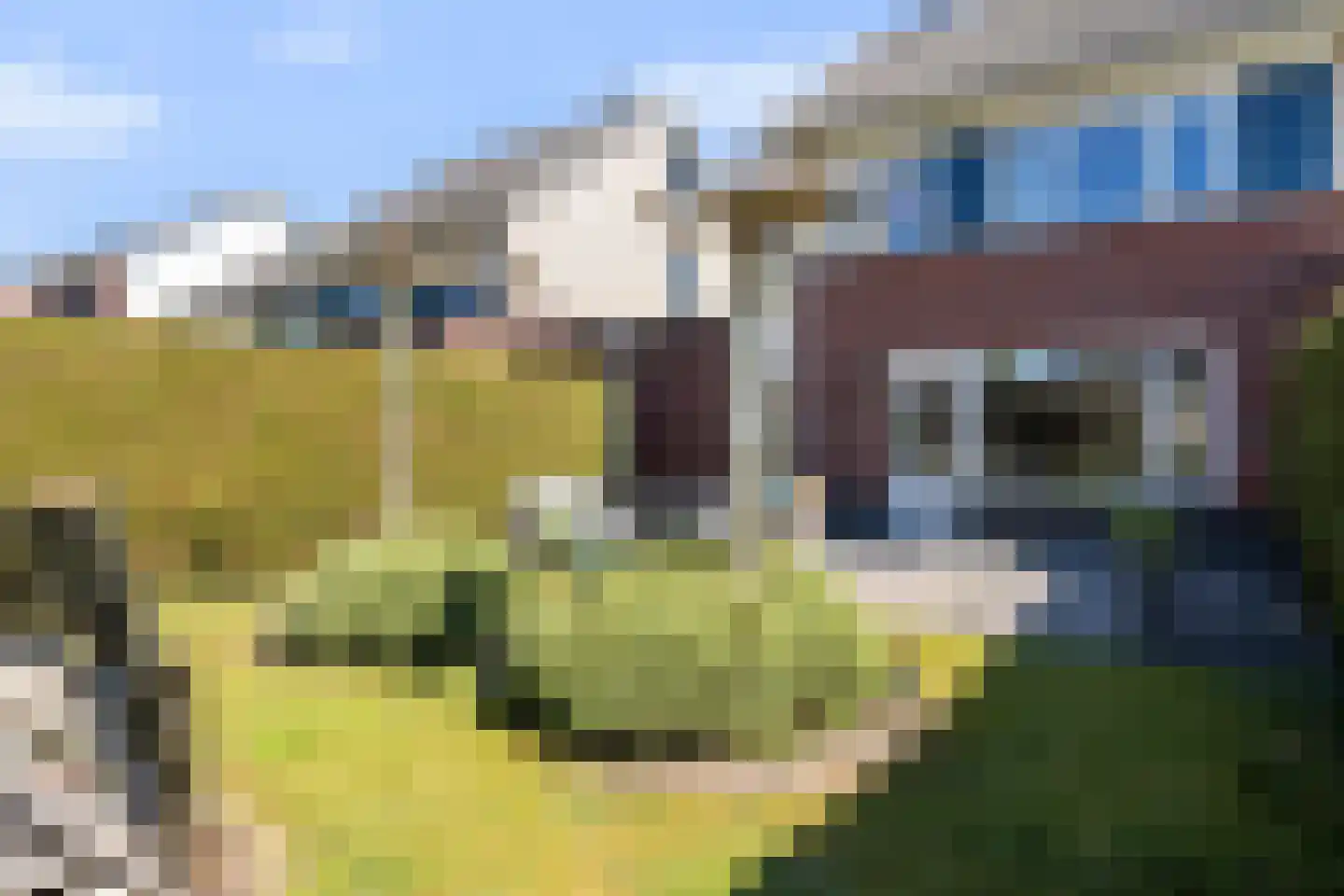 Carry van Bruggenweg 19 Assen thumbnail 45