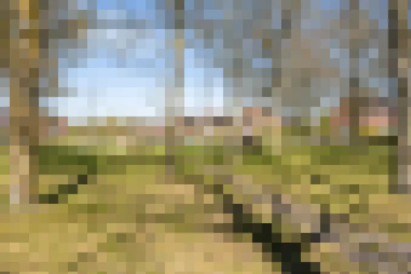 Carry van Bruggenweg 19 Assen thumbnail 55