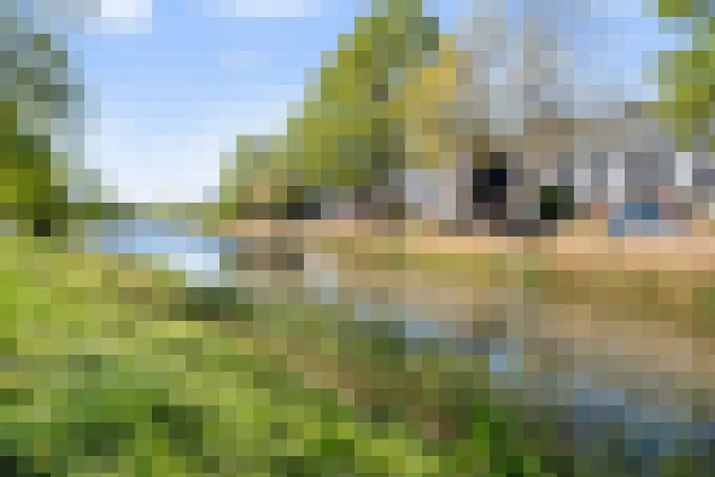 Carry van Bruggenweg 19 Assen thumbnail 57