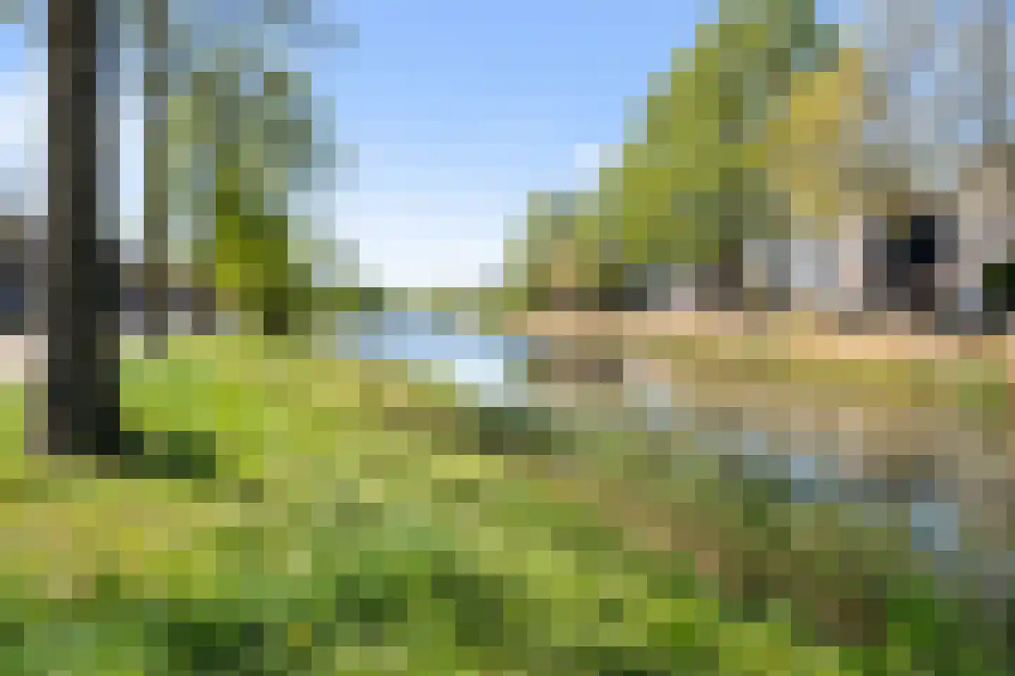Carry van Bruggenweg 19 Assen thumbnail 58
