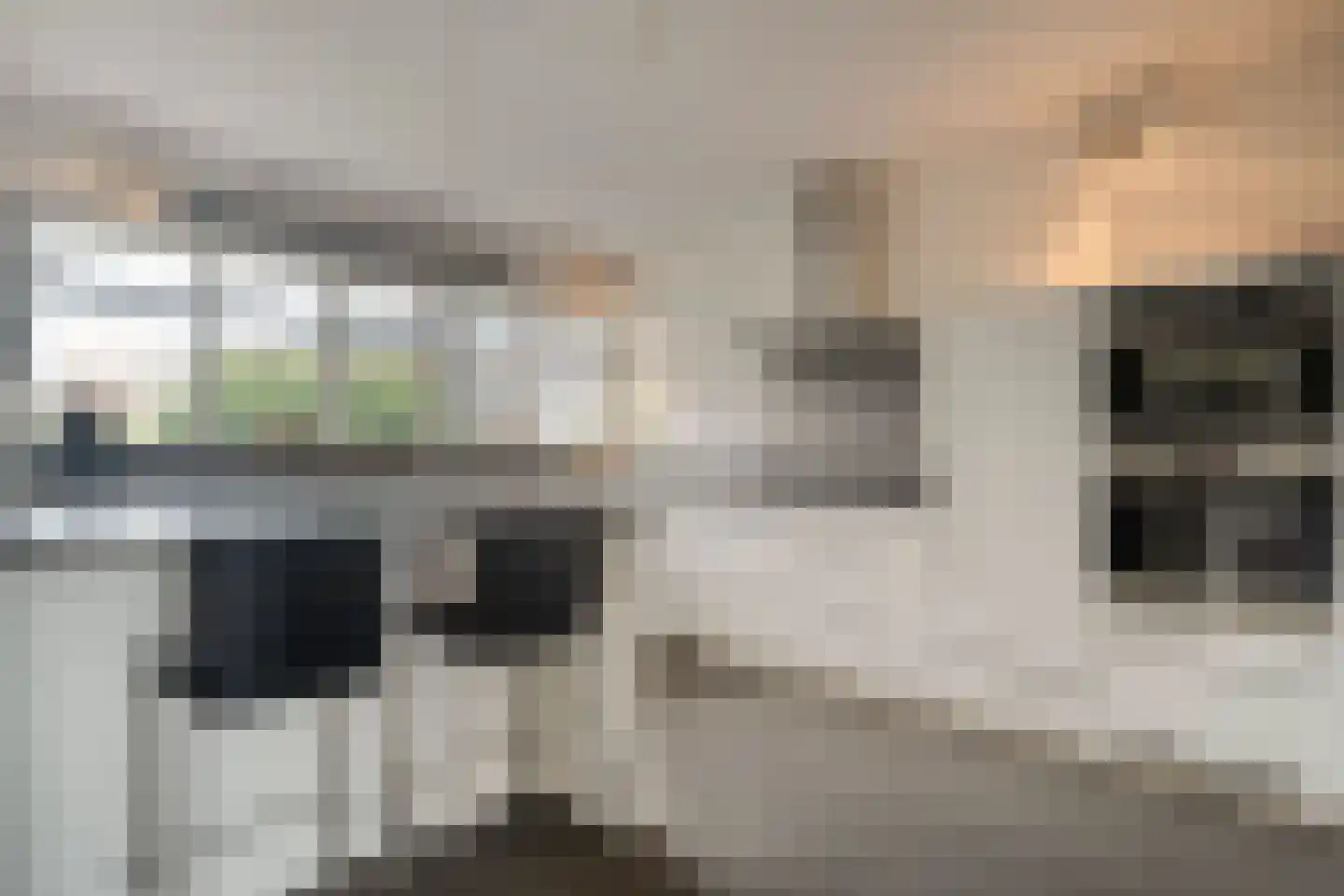 Carspel 6 Meppel thumbnail 10