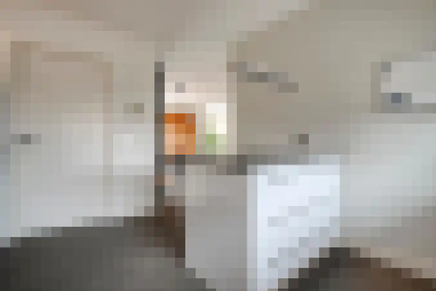 Carspel 6 Meppel thumbnail 14