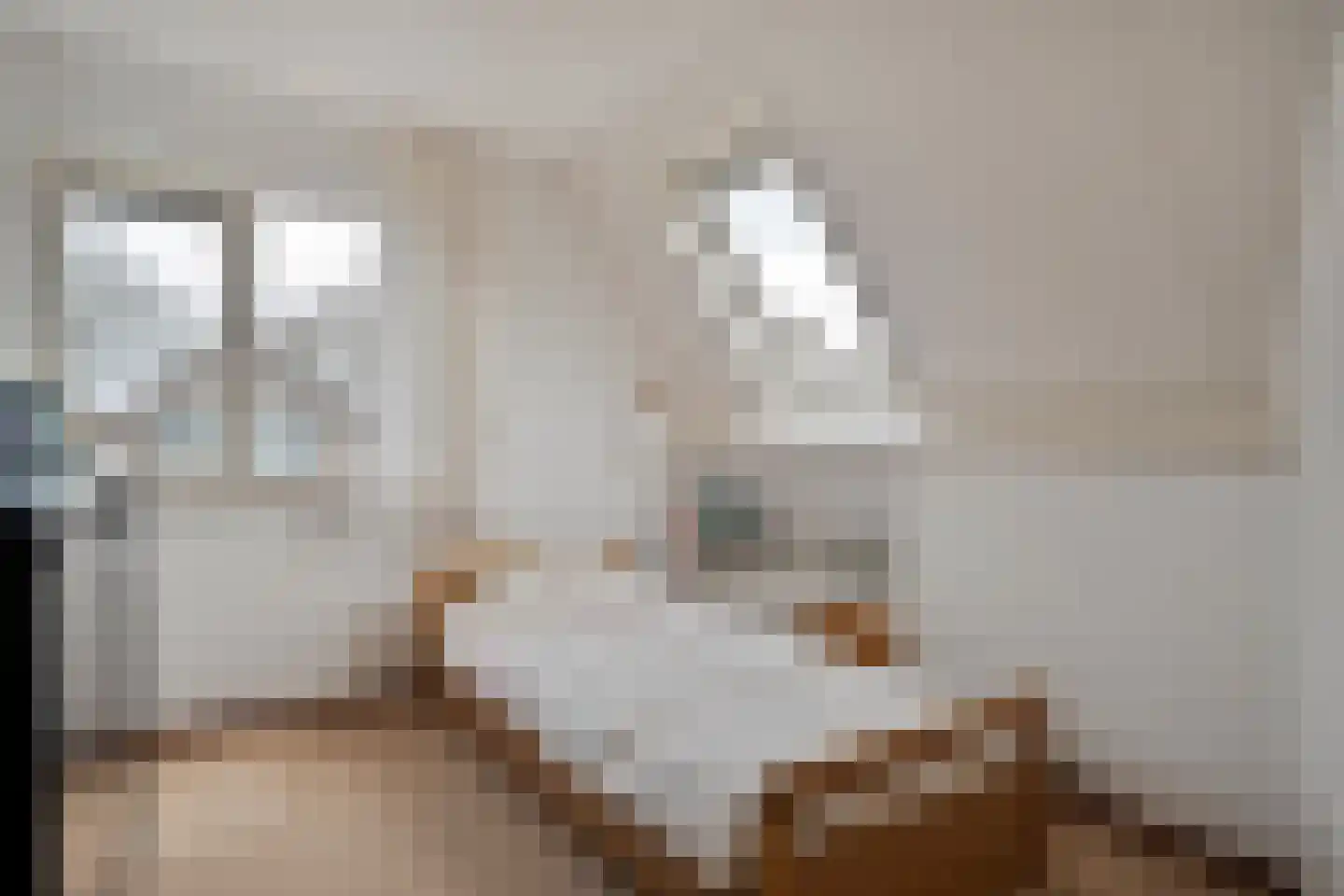 Carspel 6 Meppel thumbnail 26