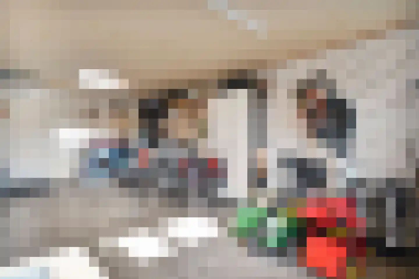 Carspel 6 Meppel thumbnail 37