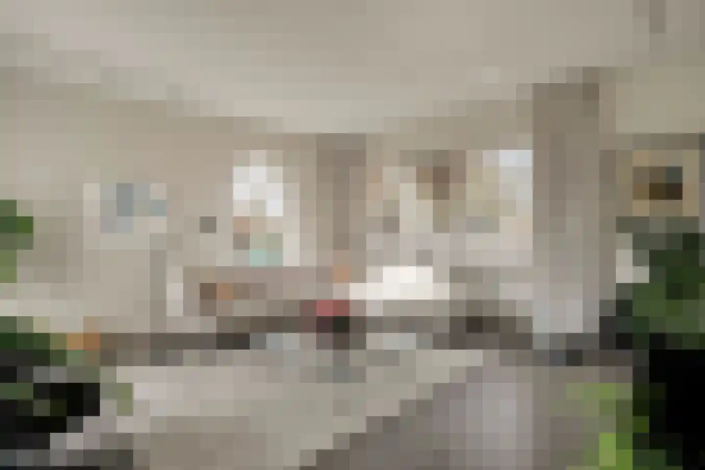 Carspel 6 Meppel thumbnail 4