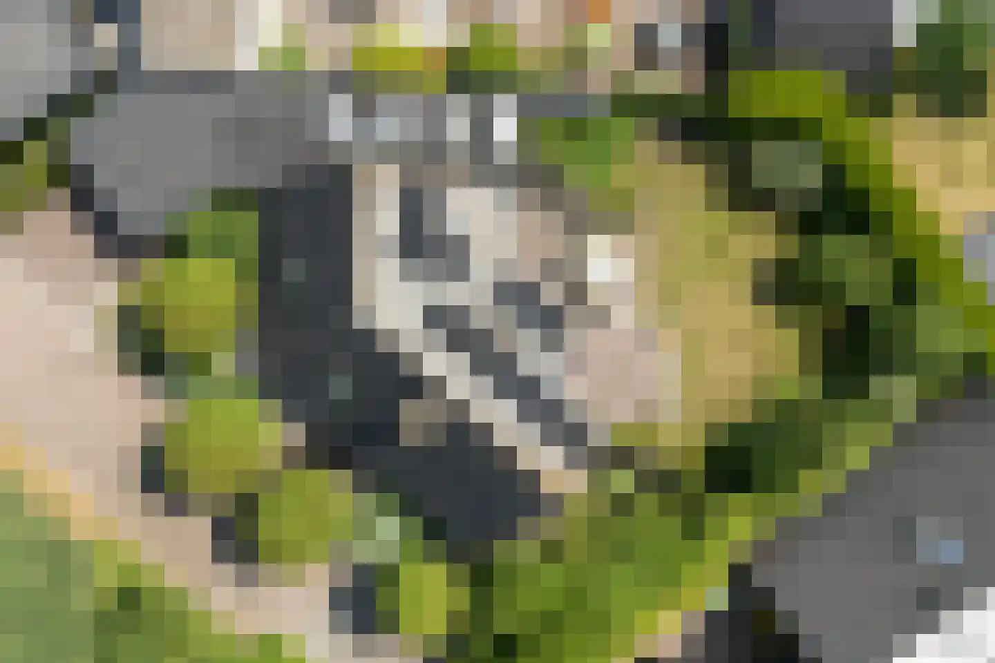 Carspel 6 Meppel thumbnail 40