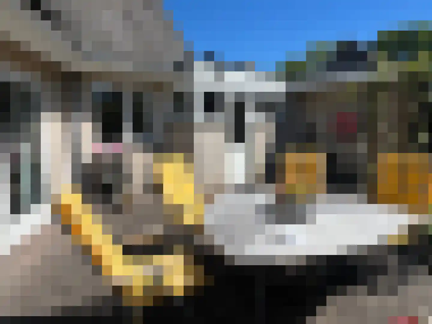 Carspel 6 Meppel thumbnail 42