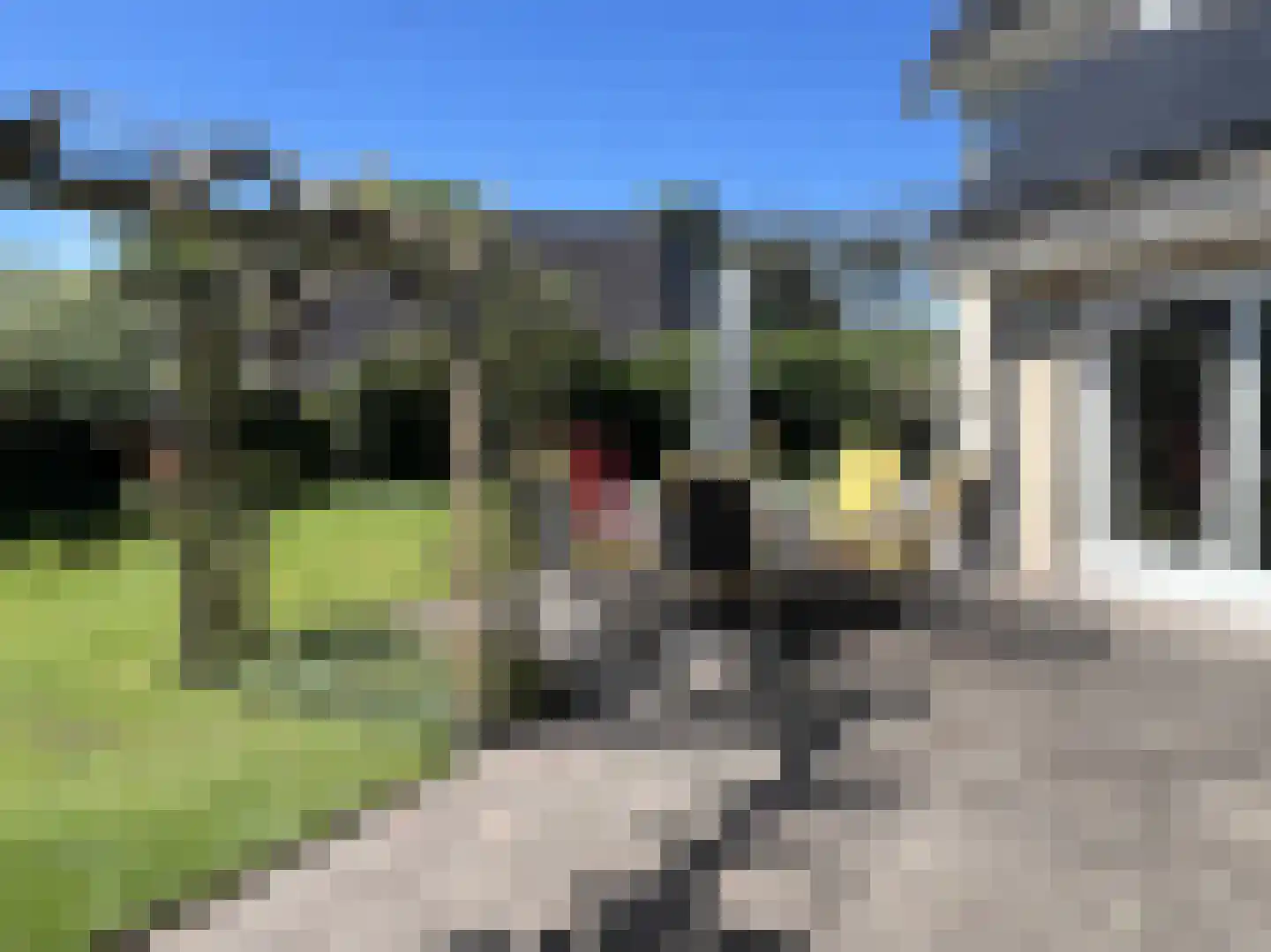 Carspel 6 Meppel thumbnail 43
