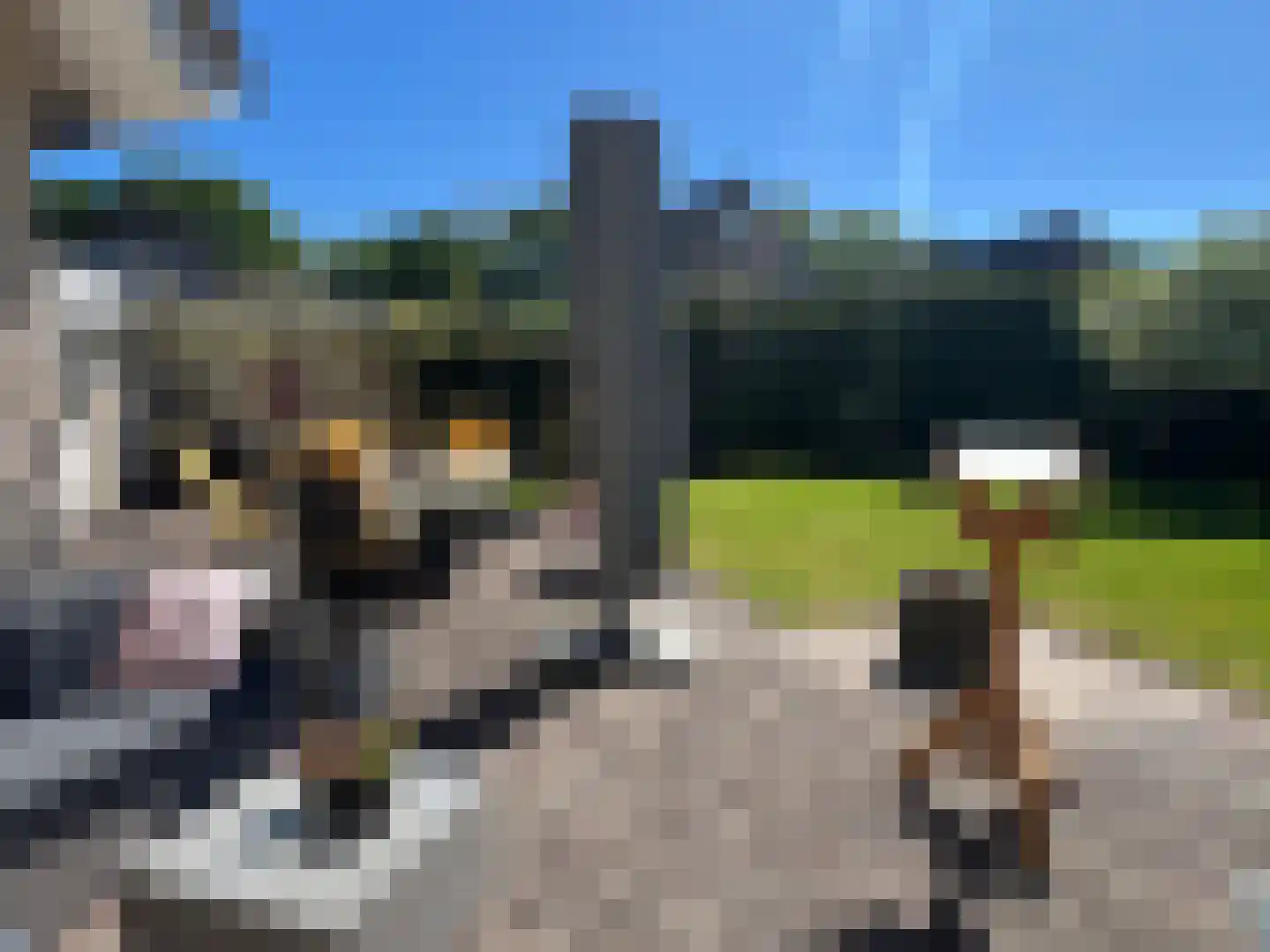 Carspel 6 Meppel thumbnail 45