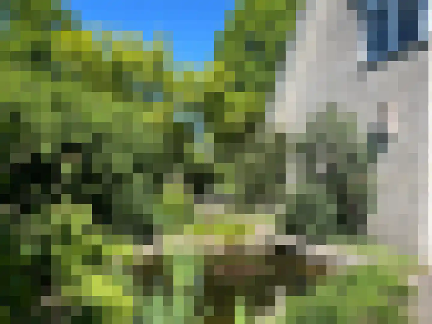 Carspel 6 Meppel thumbnail 46
