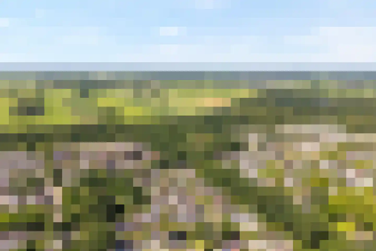 Carspel 6 Meppel thumbnail 48