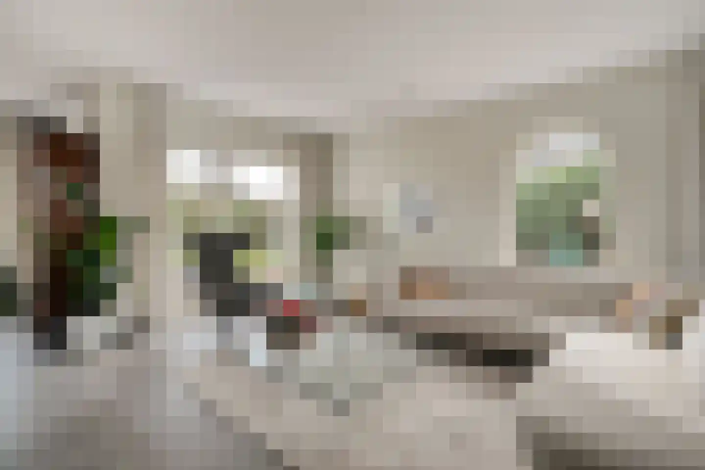 Carspel 6 Meppel thumbnail 5