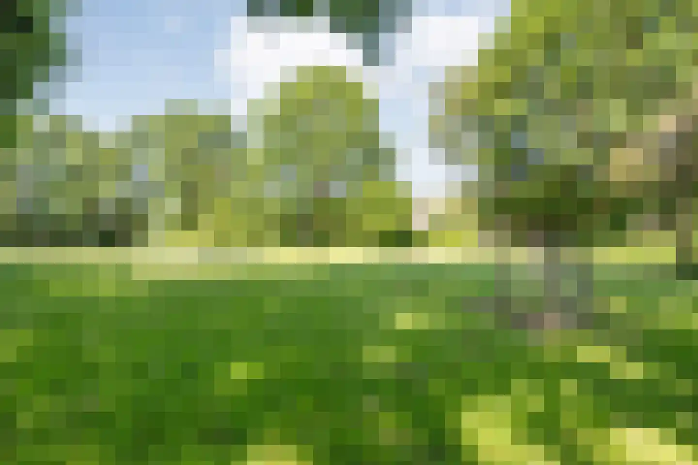 Carspel 6 Meppel thumbnail 50