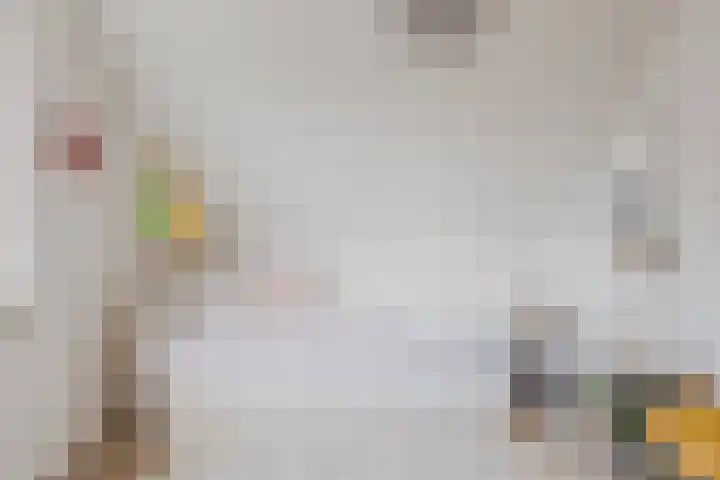 Carstensdijk 32 Elim thumbnail 30