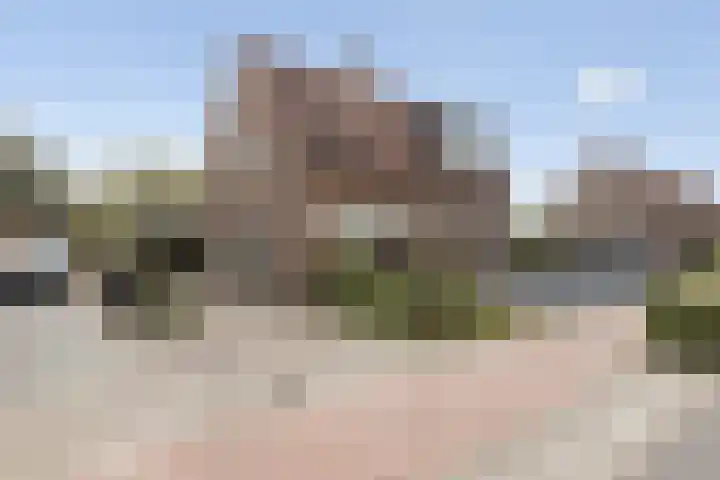 Carstensdijk 46 in Elim