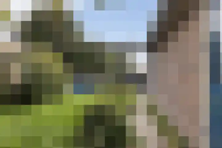 Carstensdijk 46 Elim thumbnail 4