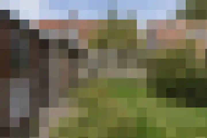 Carstensdijk 46 Elim thumbnail 5