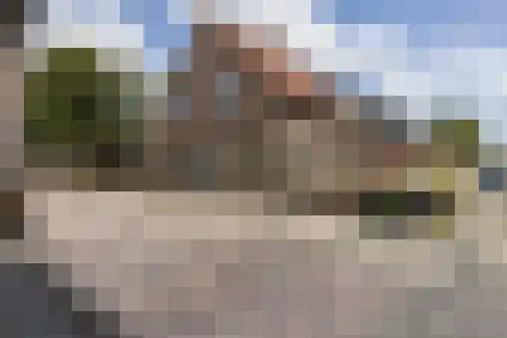 Carstenswijk 69 Elim foto 3