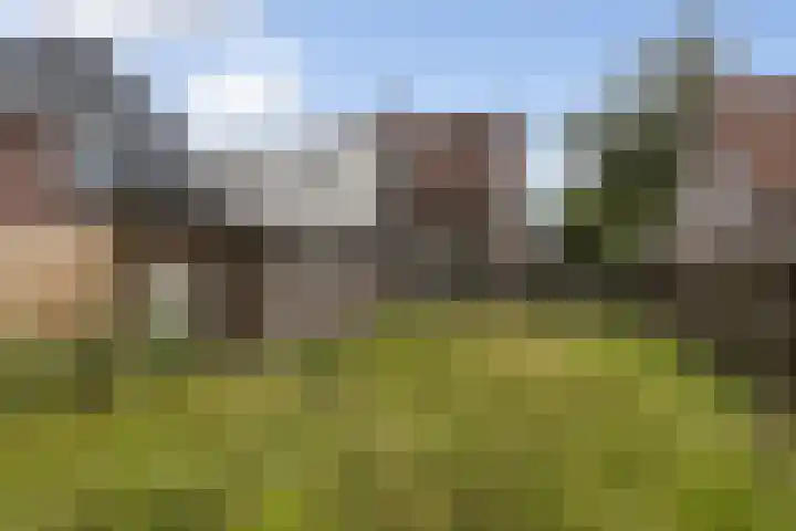 Carstenswijk 69 Elim thumbnail 4