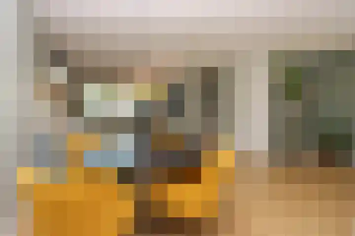 Carstenswijk 69 Elim thumbnail 6
