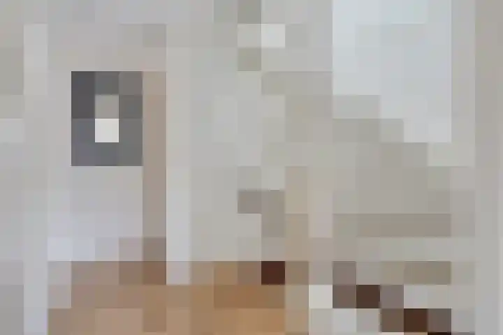 Carterlaan 30 Goes thumbnail 12