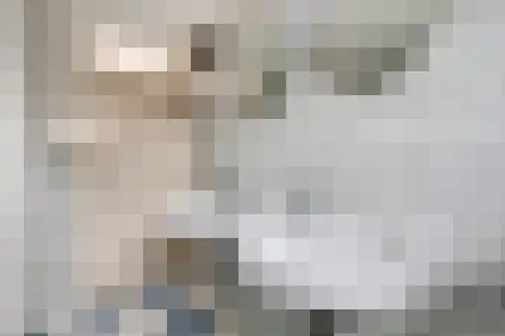 Carterlaan 30 Goes thumbnail 16