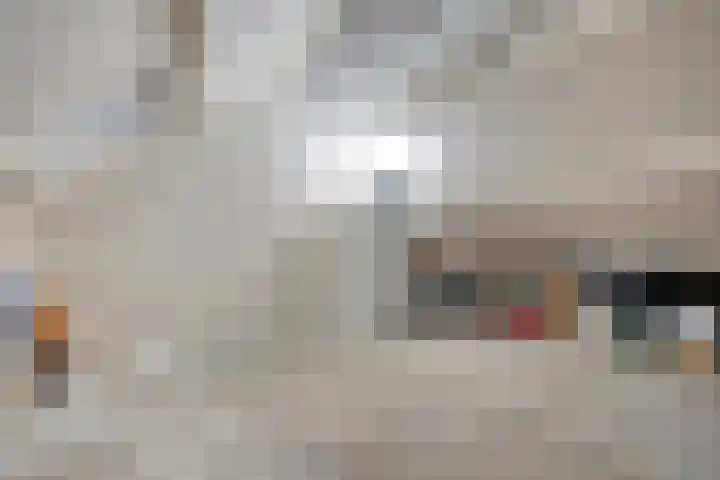 Carterlaan 30 Goes thumbnail 19