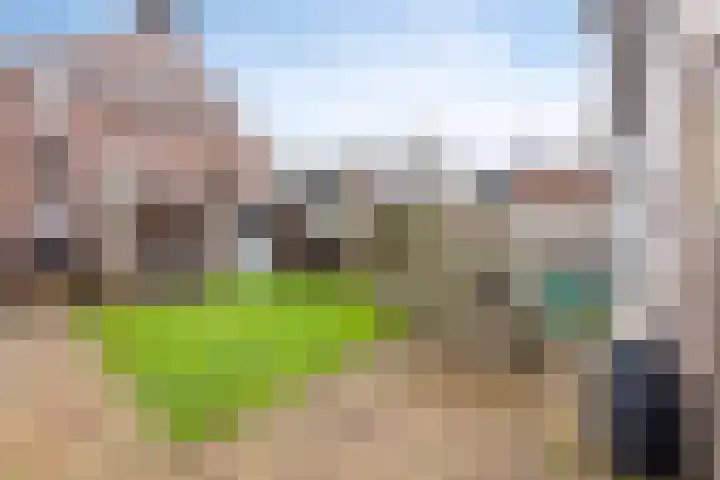 Carterlaan 30 Goes thumbnail 21