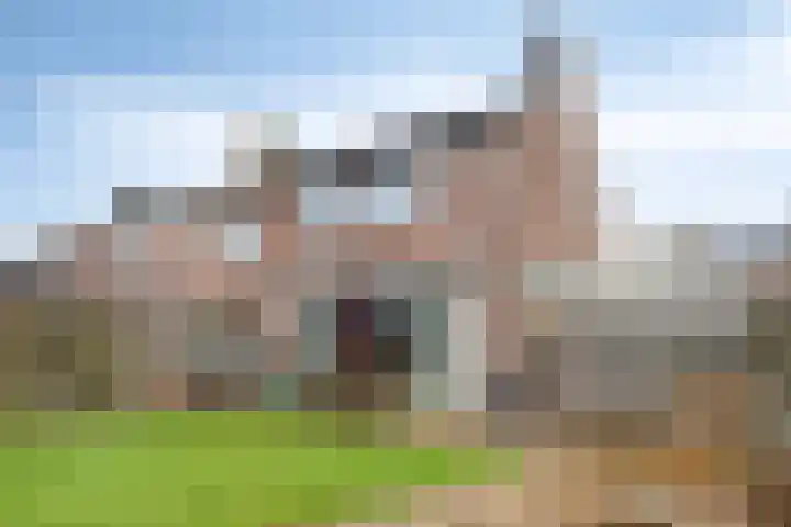 Carterlaan 30 Goes thumbnail 22