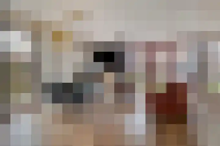 Carterlaan 30 Goes thumbnail 6
