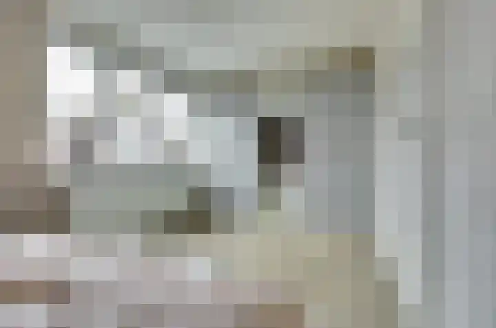 Carterlaan 51 Goes thumbnail 13