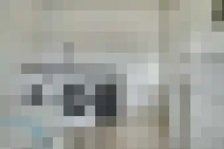 Carterlaan 51 Goes thumbnail 15