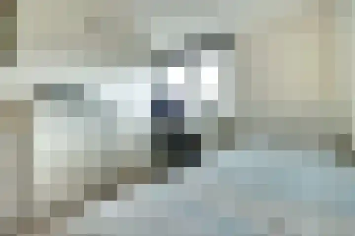 Carterlaan 51 Goes thumbnail 16
