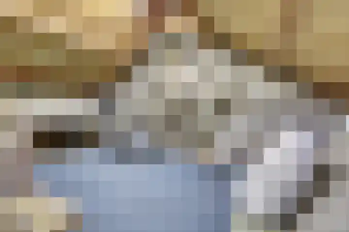 Carterlaan 51 Goes thumbnail 21