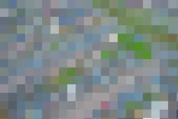 Carterlaan 51 Goes thumbnail 32