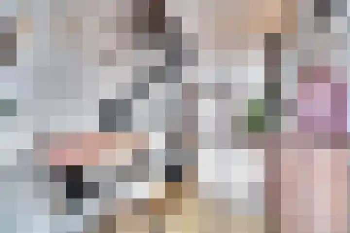 Carterlaan 51 Goes thumbnail 9