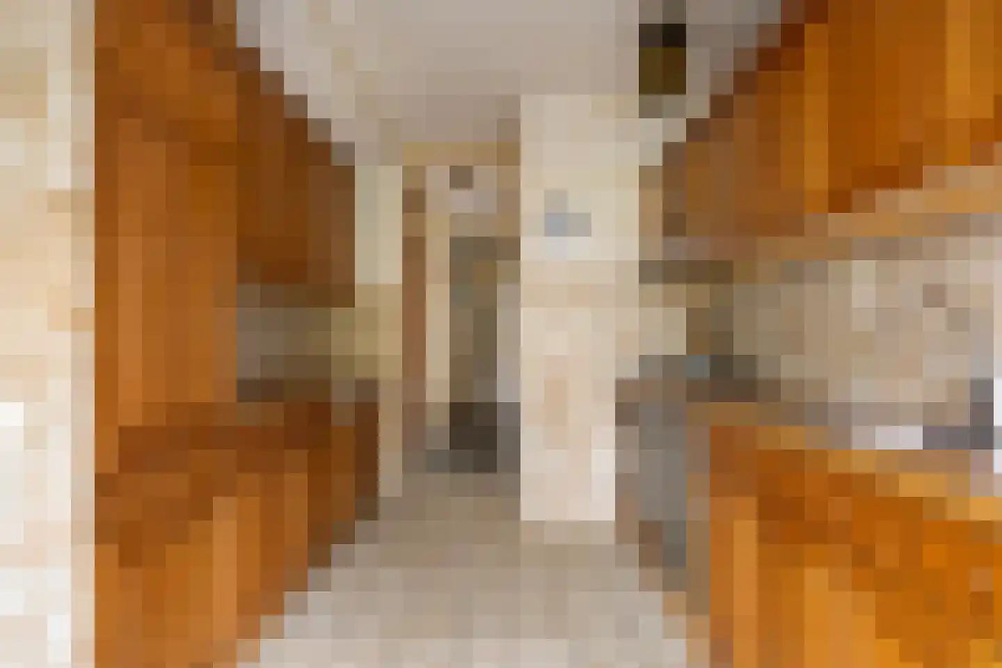 Cartesiuslaan 14 Oegstgeest thumbnail 11