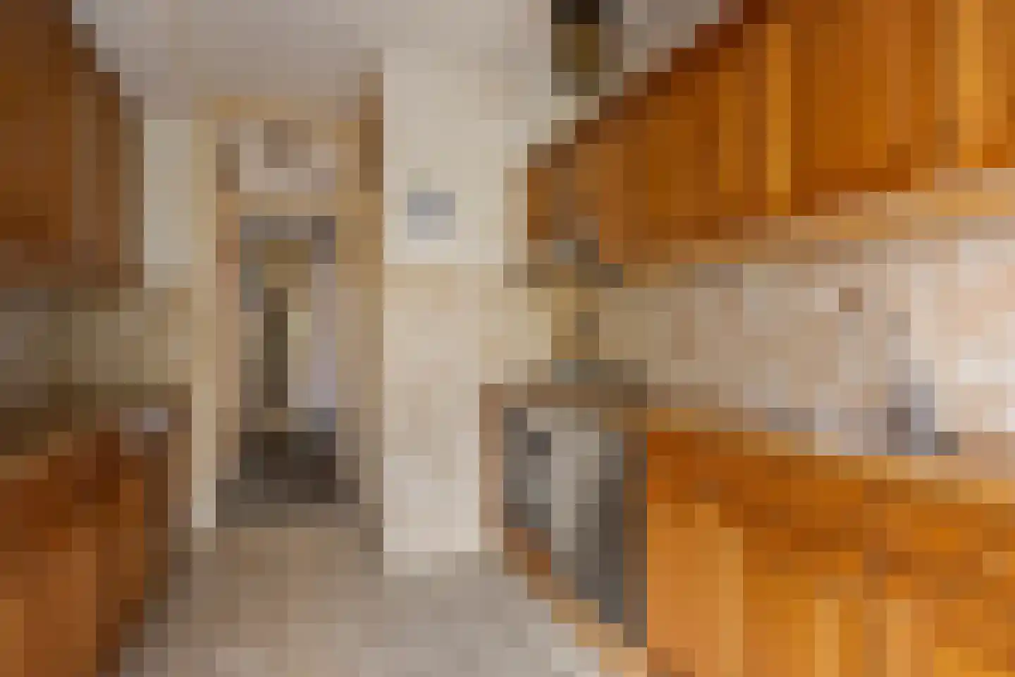 Cartesiuslaan 14 Oegstgeest thumbnail 12