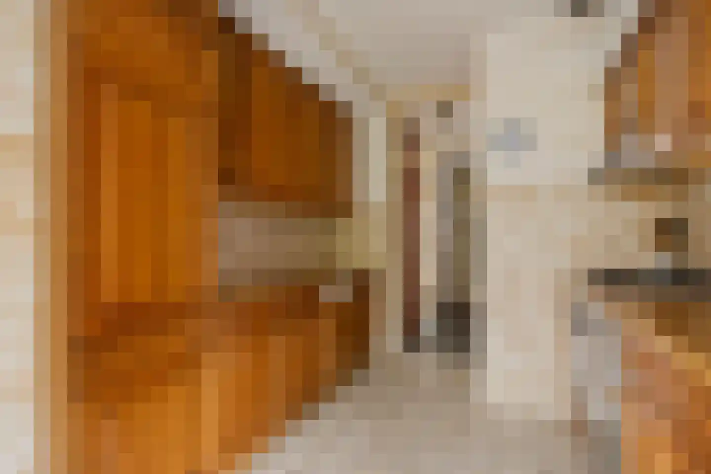 Cartesiuslaan 14 Oegstgeest thumbnail 13