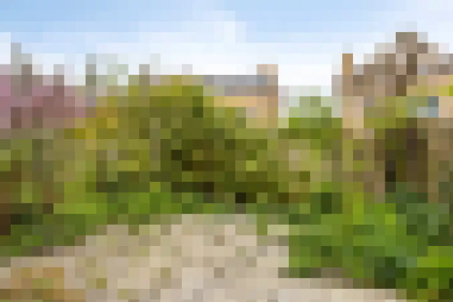 Cartesiuslaan 14 Oegstgeest thumbnail 34
