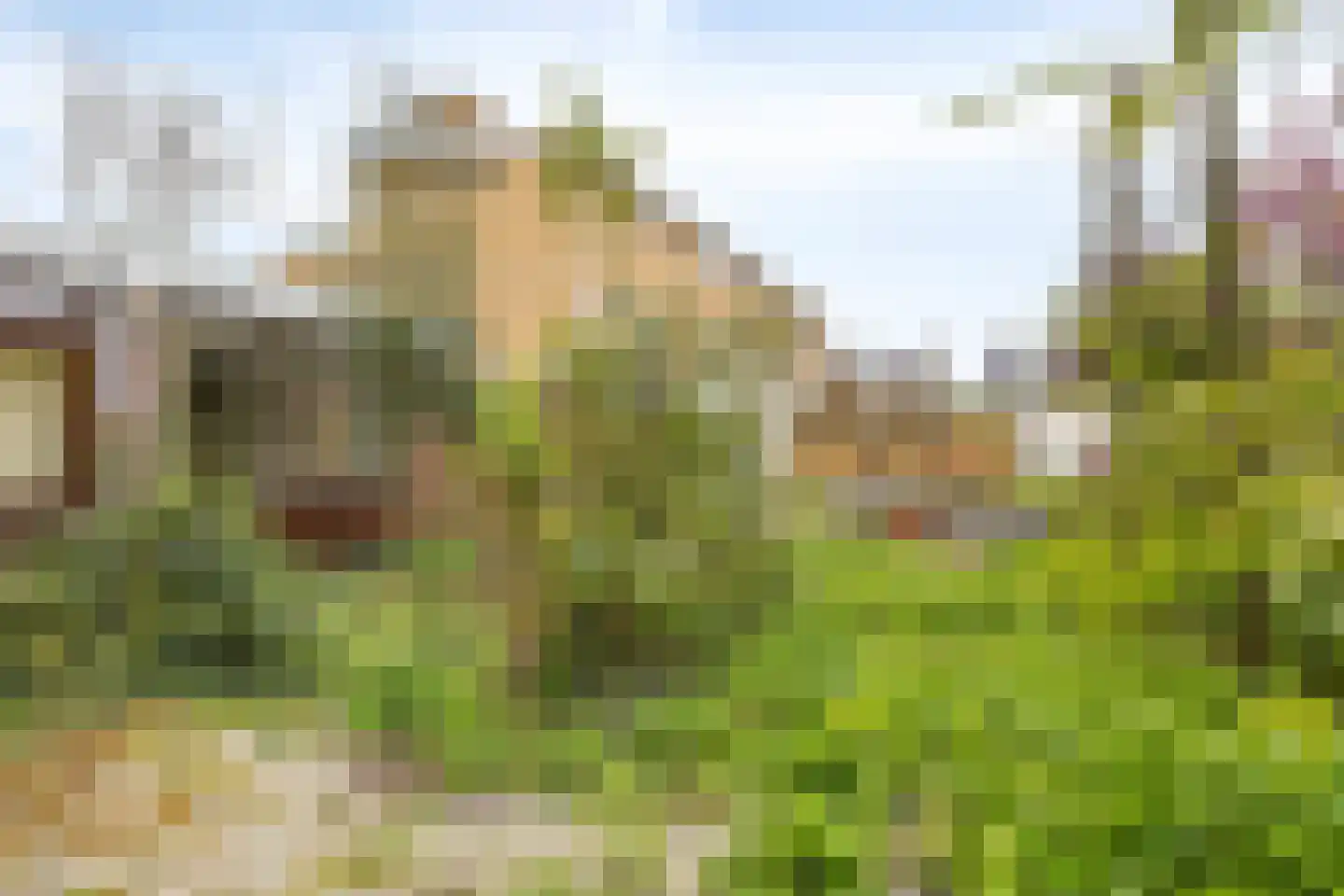 Cartesiuslaan 14 Oegstgeest thumbnail 35
